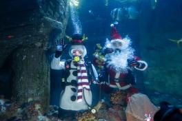 Nikolaus5.JPG