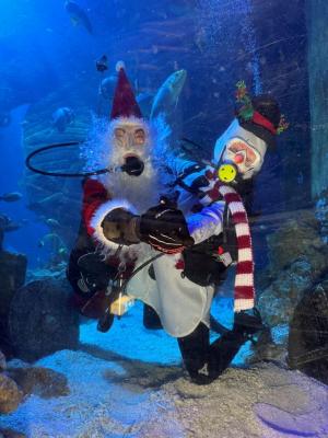 Nikolaus3.JPG
