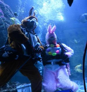 ostern.JPG